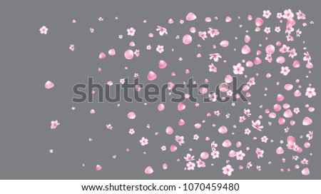 Realistic Sakura Cherry and Rose Petals Wedding Confetti. Magic Vector Celebration Design. Spring Sakura Cherry and Rose Confetti Falling Down. Windy Floral Design, Natural Cosmetics Background