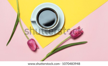 Flat lay of minimalistic picture of coffee and tulips on pink and yellow background. Minimalism coffee concept.