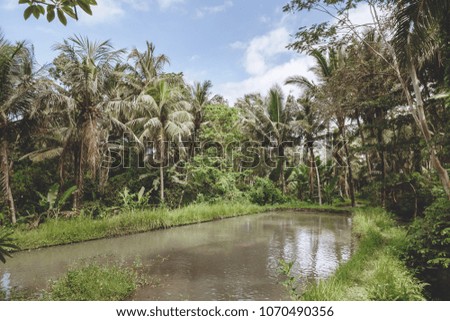 beautiful scenic view of pond, blue cloudy sky and green trees around, Bali, Indonesia
