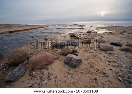 Stones and tree branch on sand beach and river at coast of sea water waves in spring evening sunset sky clouds light