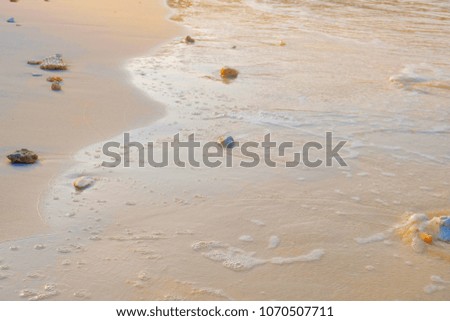 white tropical shell on white  beach sand under sun light, shallow ,background for summer,Sea wave