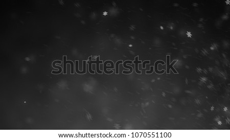 Blur falling snow  texture isolated on the black background for overlay design.