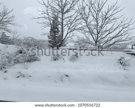 Snow scenery in Japan
