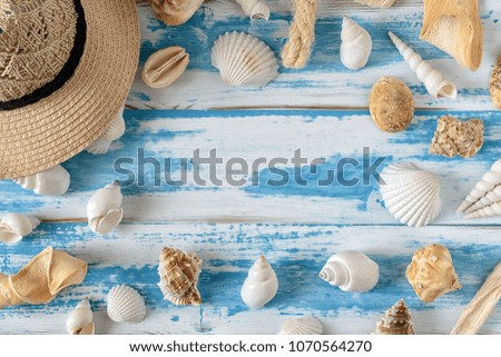 Seashells on blue wooden board with straw hat. Summer holiday background.