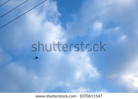 panoramic photography with electrical wires, blue sunny sky with white clouds, and birds silhouettes, outdoors on a summer day in Poland, Europe