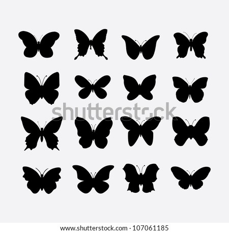 butterfly (vector)