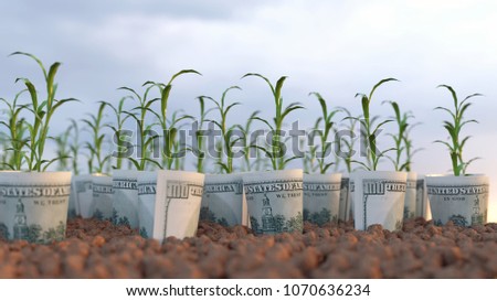 growing plants from financial investments, 3d illustration