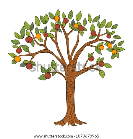 Apple tree. Vector colored illustration, element for design.