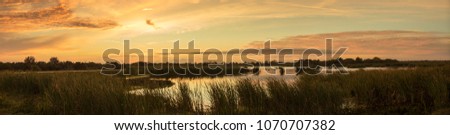 sunset in the Florida everglades panorama Royalty-Free Stock Photo #1070707382