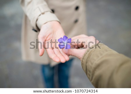 Hand hand over flower
