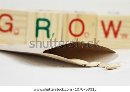 
Open packet of zucchini seeds with some scattered in front of envelope with generic wooden blocks in background that spell GROW.  Extreme shallow depth of field.