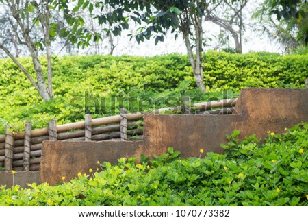 Step of brown stone stairs with green plant beside the walk way, stock photo