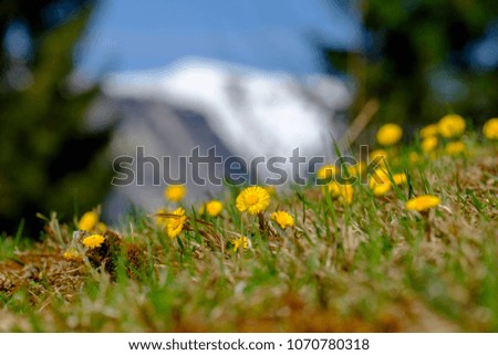 Landscape pictures Garmisch-Partenkirchen in spring