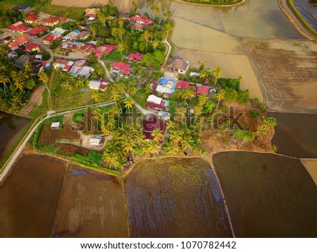 Amazing aerial view of Penaga, a village in Penang, traditional houses mix with modern houses and shops with paddy field in background during daylight.