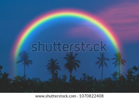 Silhouette coconut tree on sunrise sky with rainbow