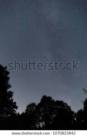 The Milky Way rises over the trees on a foreground