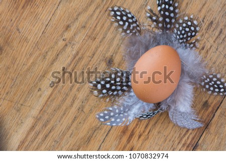 Brown egg laying on feathers with wooden background
