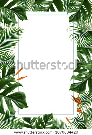 tropical leaves frame isolated on white background.
