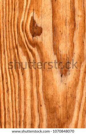 Old Weathered Knotted Varnished Pinewood Plank Grunge Texture Detail