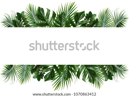 Tropical green leaf frame on white background.
