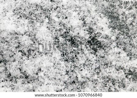different shape of snowflakes on a dark surface of a glass in the winter season, frosty weather closeup