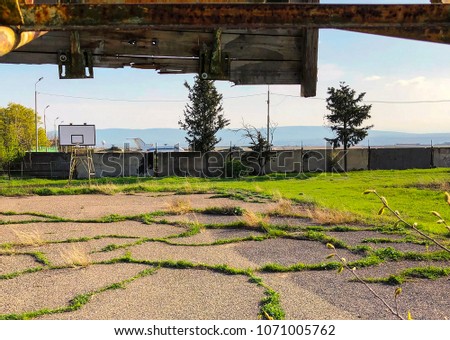 Outdoors basketball court during sunny day. Basketball court overgrown with grass. School yeard, sunny weather.