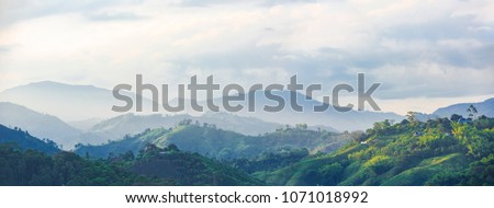 coffee area landscape in colombia Royalty-Free Stock Photo #1071018992
