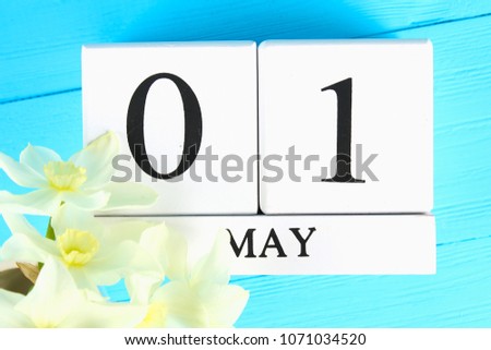 White wooden calendar with the text: May 1. White flowers of daffodils on a blue wooden table. Labor Day and Spring