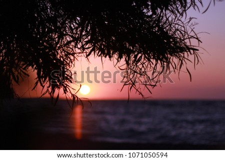  This is a reverse photo. A beautiful sunset view in photo. 