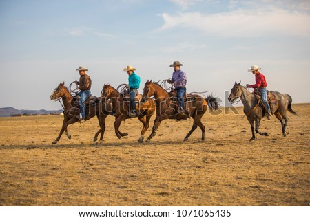 Cowboys riding the open range