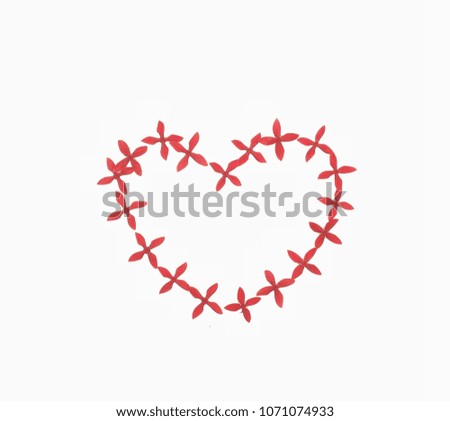 Spikes flower in heart shape on white background.