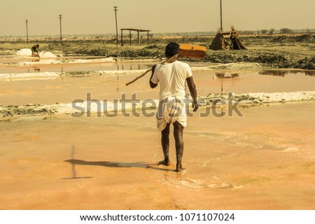 Sambhar lake- Worker