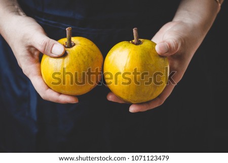 Eggfruits from Vietnam