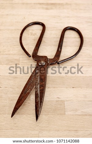 A studio photo of vintage scissors