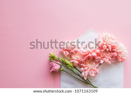 Bunch of pink chrysanthemums in an envelope. message for you. Happy Mother's Day. flowers background.Mother's Day greting card.