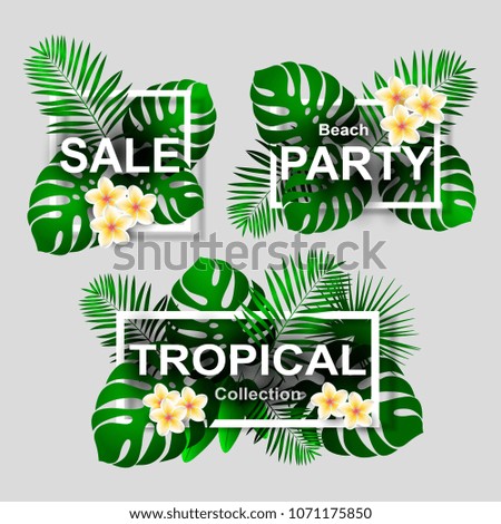 Set of tropical frames with place for text isolated on gray. Vector illustration