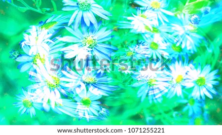 Floral background in many styles. To make cards.