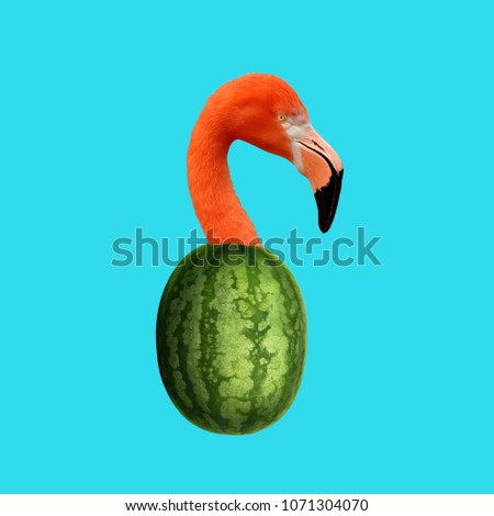 Contemporary abstract collage, Flamingo in watermelon body