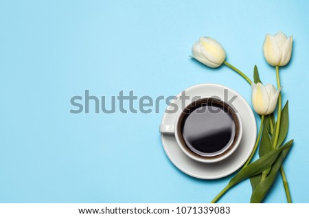 Minimalistc picture of cup of coffee and white tulips on blue background. Spring coffee concept. top view, flat lay.