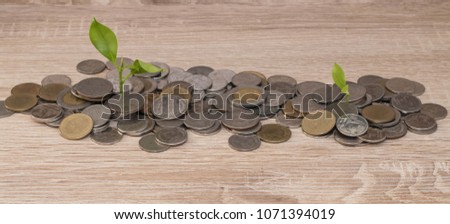 The coins are placed on a wooden floor.
 Soft focus  for background image.