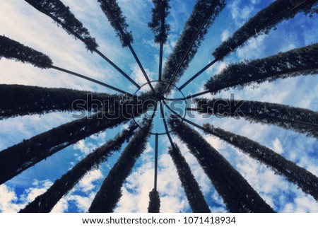 This is an abstract picture taken in Barcelona, Spain. It shows the sky and some leafs. 