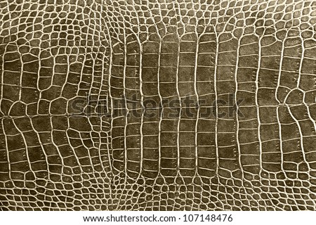 tint brown crocodile skin texture as a wallpaper Royalty-Free Stock Photo #107148476