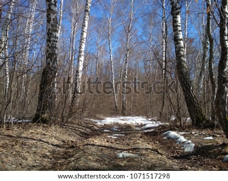 Russian landscape in the spring.