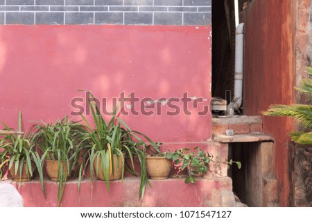 Pink ruined wall behind plants in Yuantong Temple (Kunming, Yunnan, China)