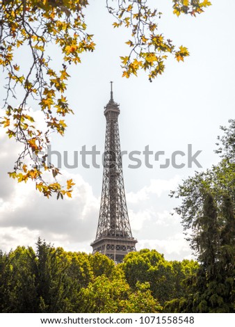 Beautifully framed photograph of the top of the Eiffel Tower in Paris France with delicate branches hanging down from the corner and green tree tops below with white fluffy clouds in the sky.
