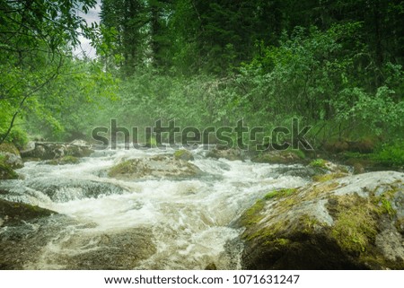 A stormy stream of water flows among the stones. There is a thick green forest along the banks of the river. Summer trekking. Rest and travel around Russia. Siberia Kuturchinsky Belogorye