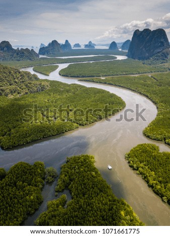 Aerial view of a huge natural mangrove forest with towering limestone cliffs (Phang Nga, Thailand)