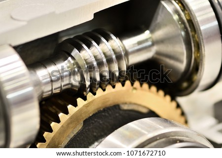 worm gear or worm drive tramsission