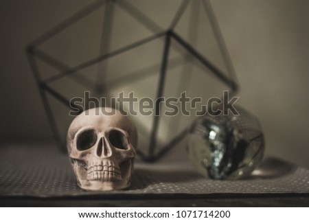 Pale skull against a glass sphere and florarium on the table. Girl's shady living room interior