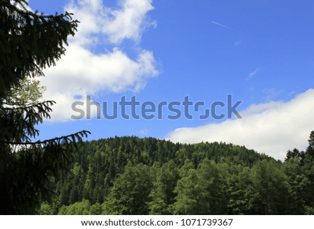 view of the mountain under blue sky in vosges